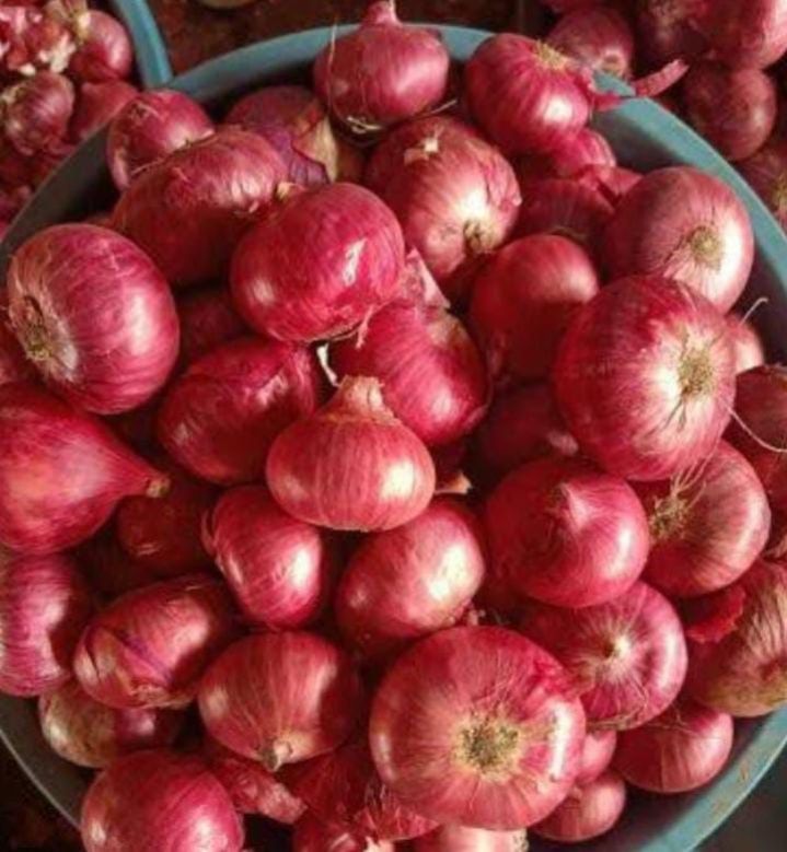 Fresh Onions