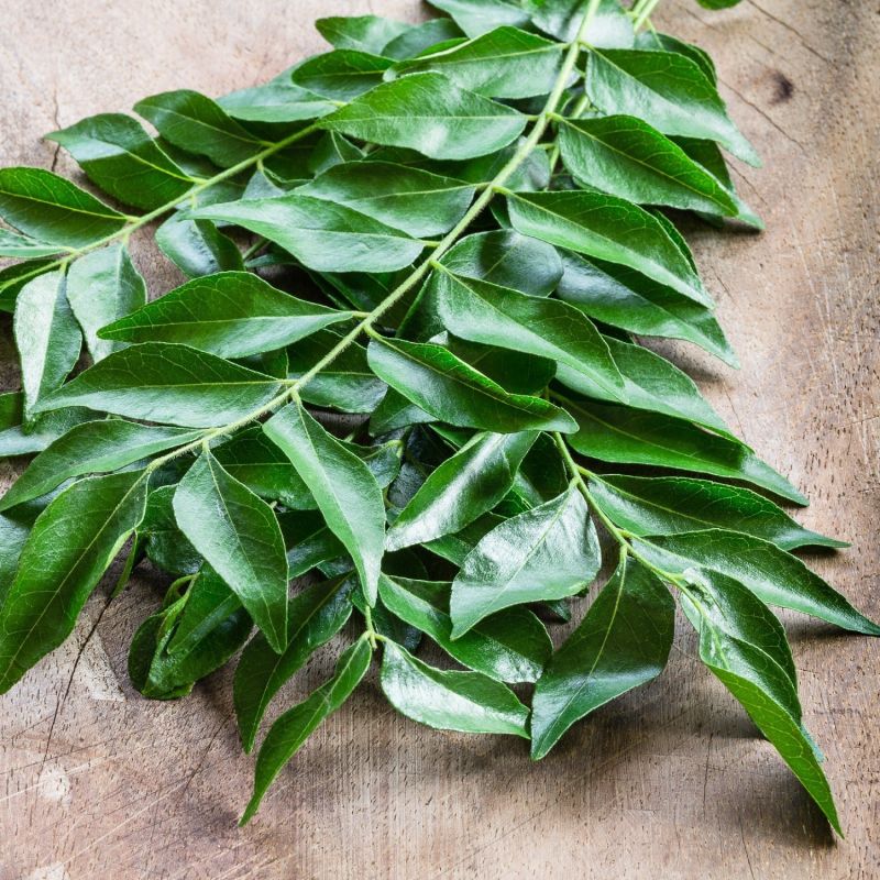 Fresh Curry Leaves