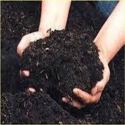Vermicompost Fertilizer