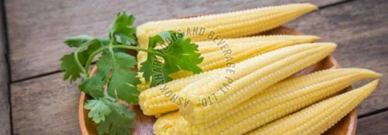 Frozen Baby Corn