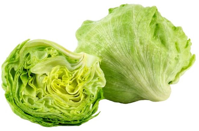 Lettuce Iceberg