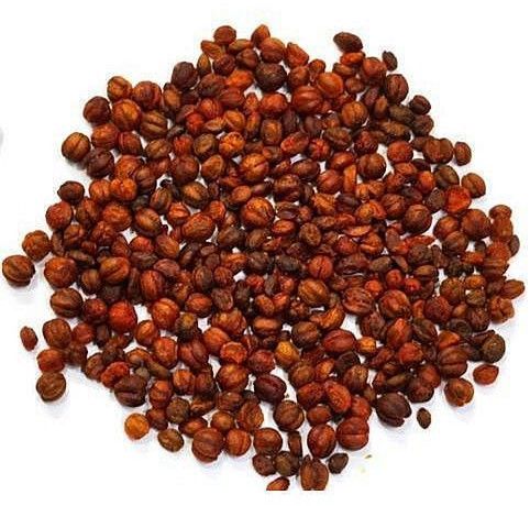 Brown Malkangni Seeds