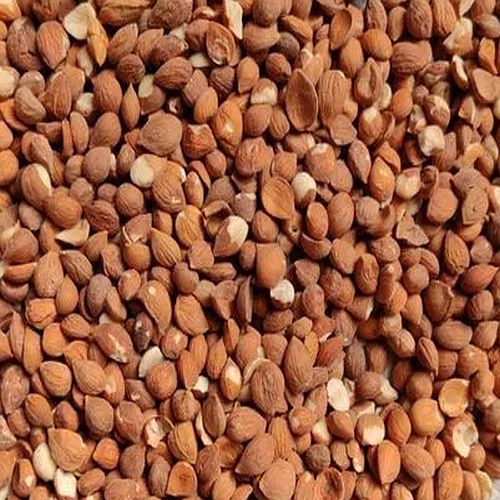 Dried Apricot Kernels