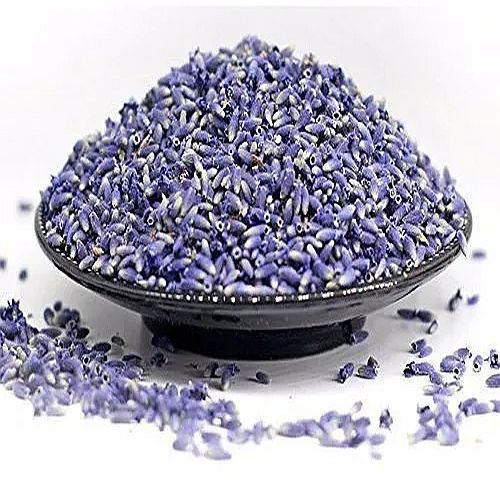 Dry Lavender Flower Buds