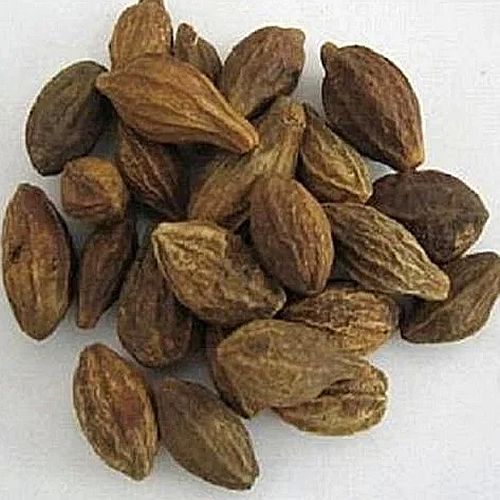 Himachal Harrad Kabuli Terminalia Chebula