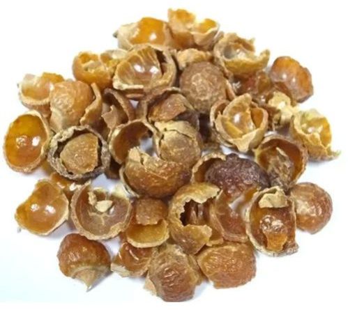 Seedless Soap Nut Shell