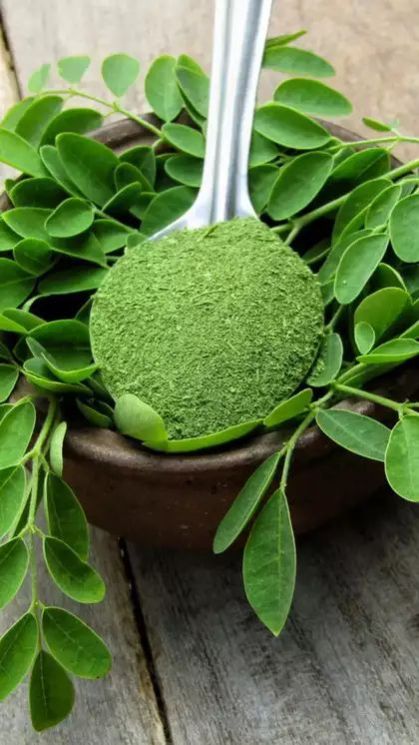 Natural Moringa Leaves Powder