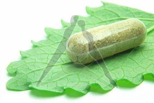 Digest Vinegar Max Capsules