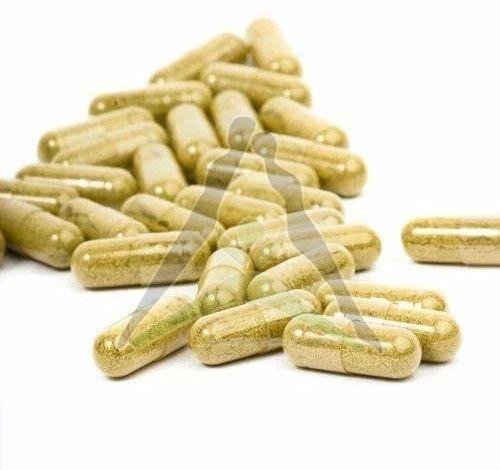 Kombucha Herbal Probiotic Capsules