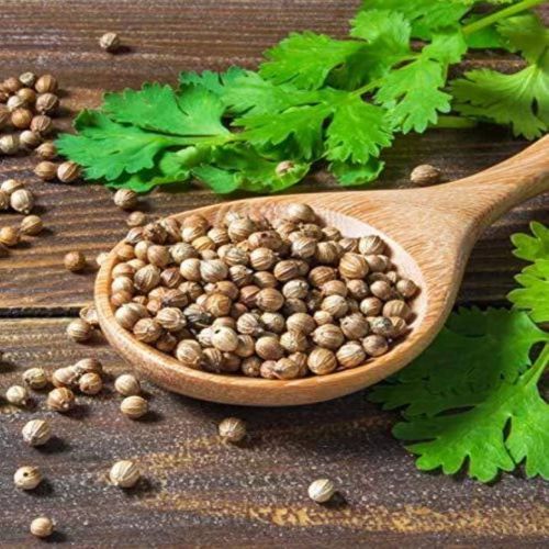coriander seeds