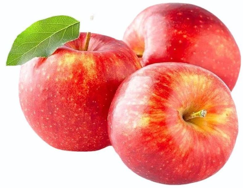 A Grade Fresh Apple
