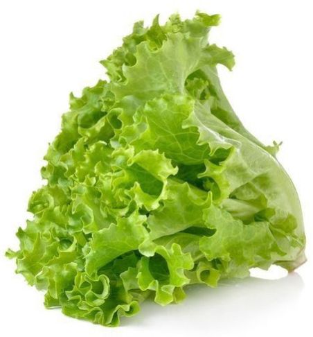 A Grade Fresh Lettuce