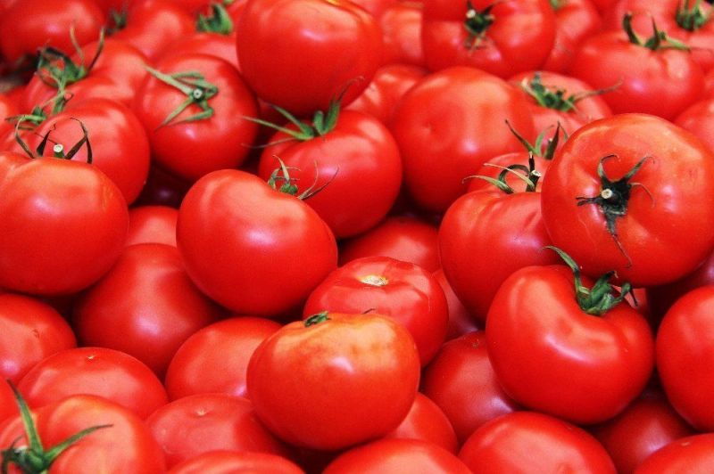 A Grade Fresh Red Tomato