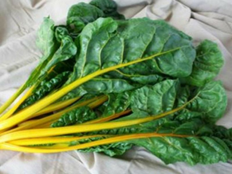 A Grade Green Organic Swiss Chard