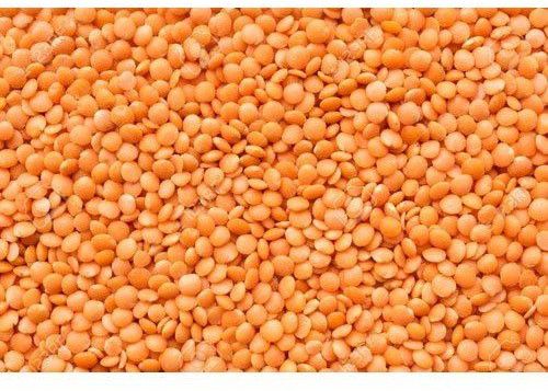 Masoor Red Lentils