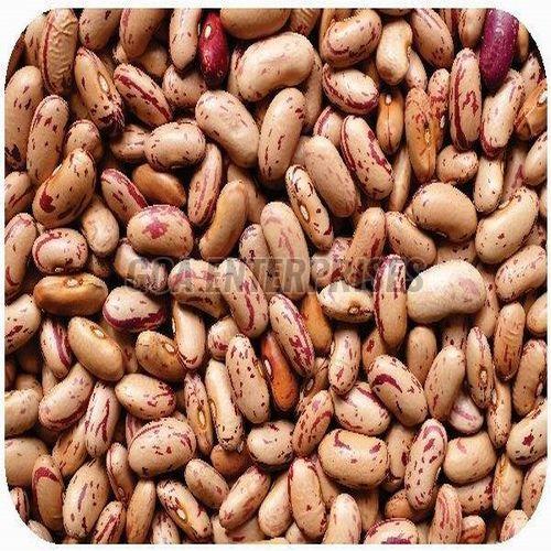 Organic Speckled Kidney Beans