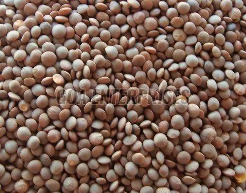 Organic Whole Masoor Dal