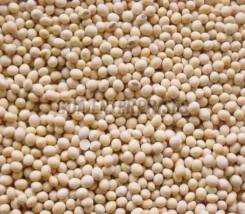 Raw Soybean