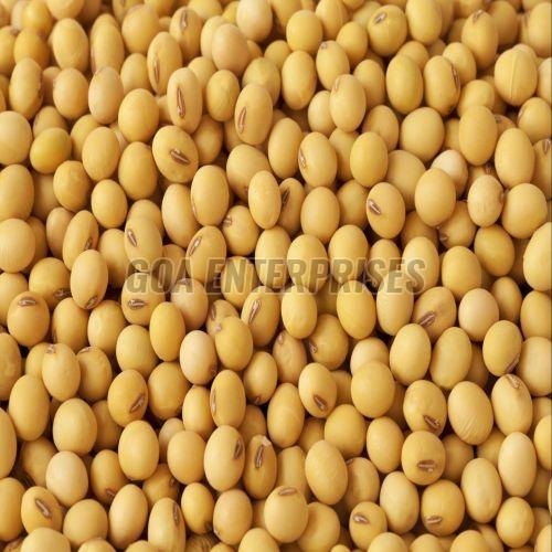 Yellow Whole Soya Beans