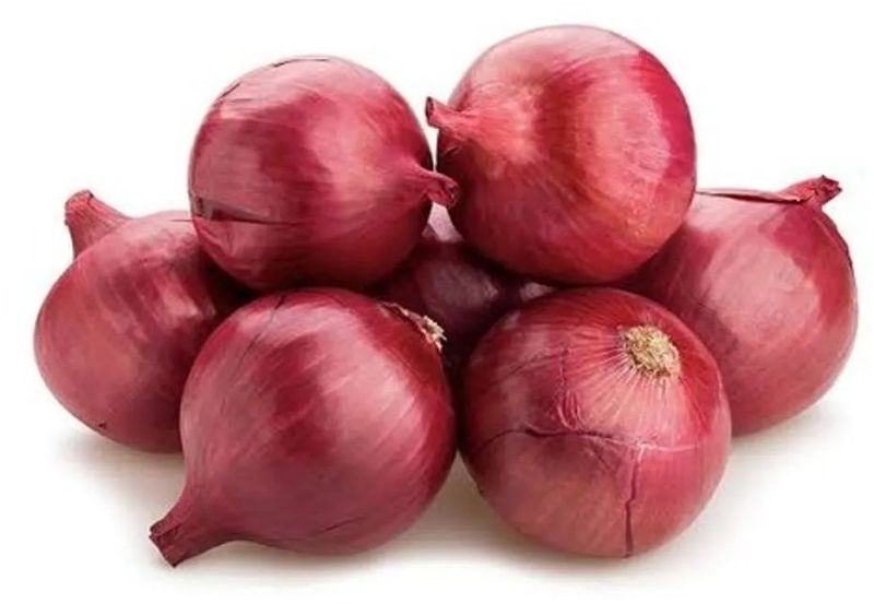 A Grade 25mm Red Onion