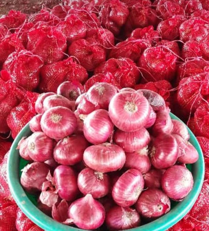 A Grade 35mm Red Onion