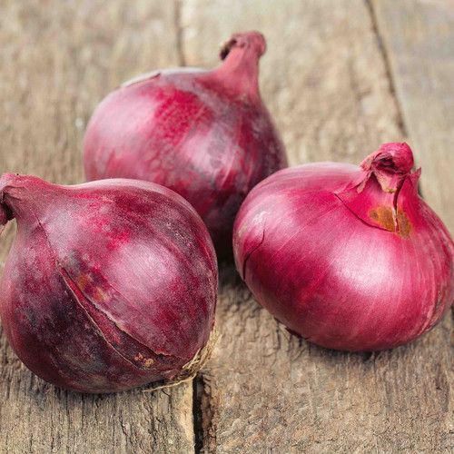 C Grade Red Onion