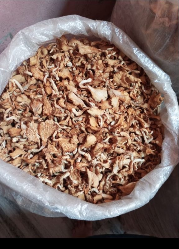 Dried Oyster Mushroom