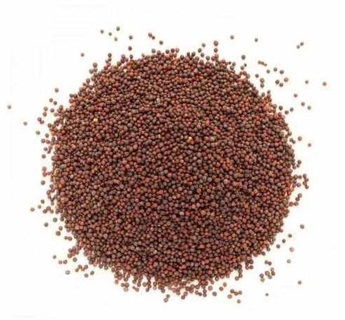 A Grade Brown Mustard Seeds