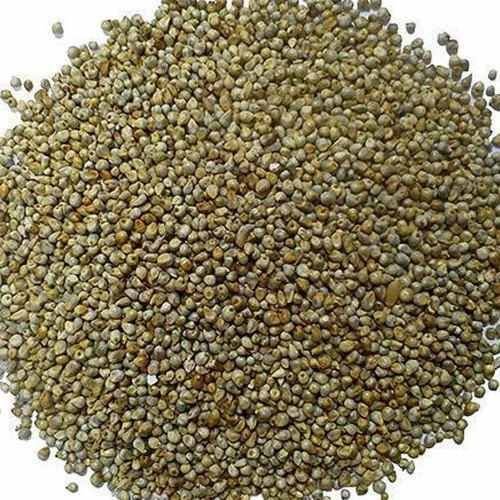 A Grade Natural Pearl Millet Seeds