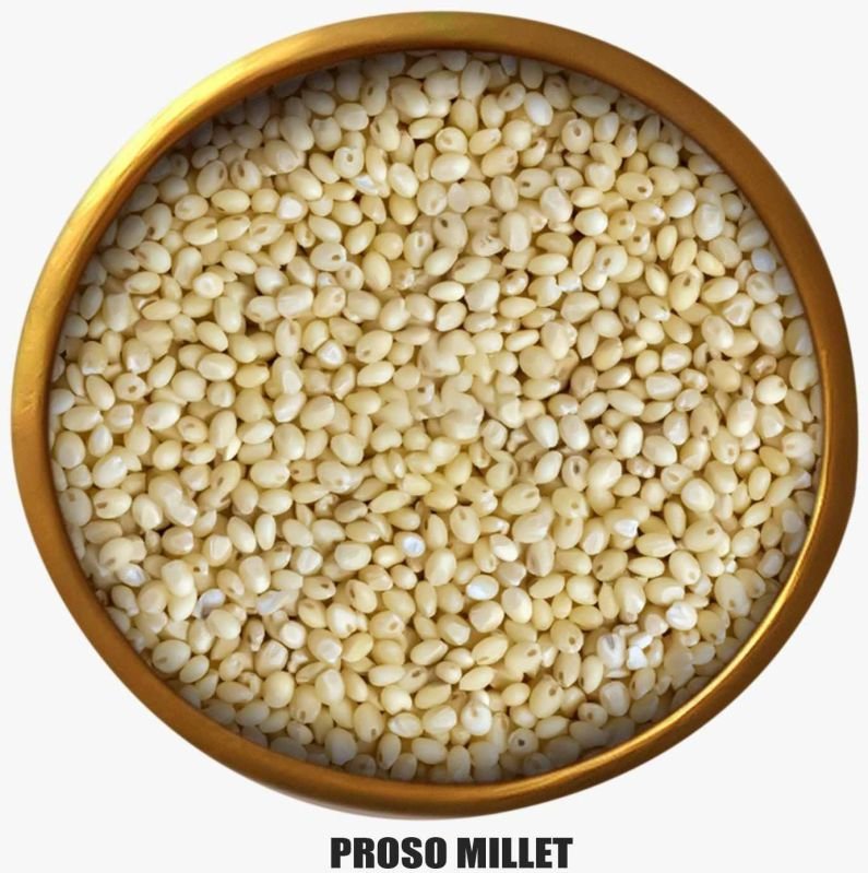 A Grade Natural Proso Millet