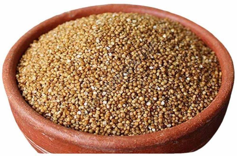 A Grade Barnyard Millet