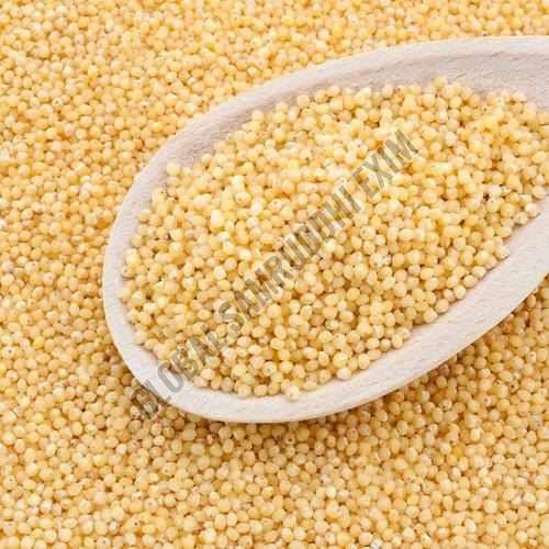 A Grade White Little Millet