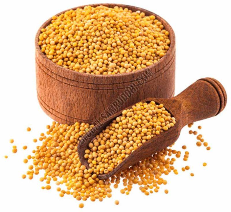 A Grade Yellow Mustard Seeds