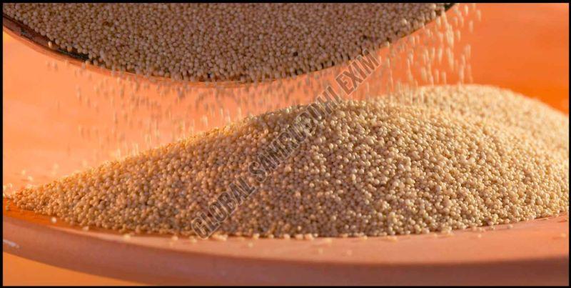 Amaranth Pseudo Grain