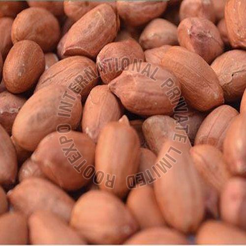 Bold Peanut Seeds