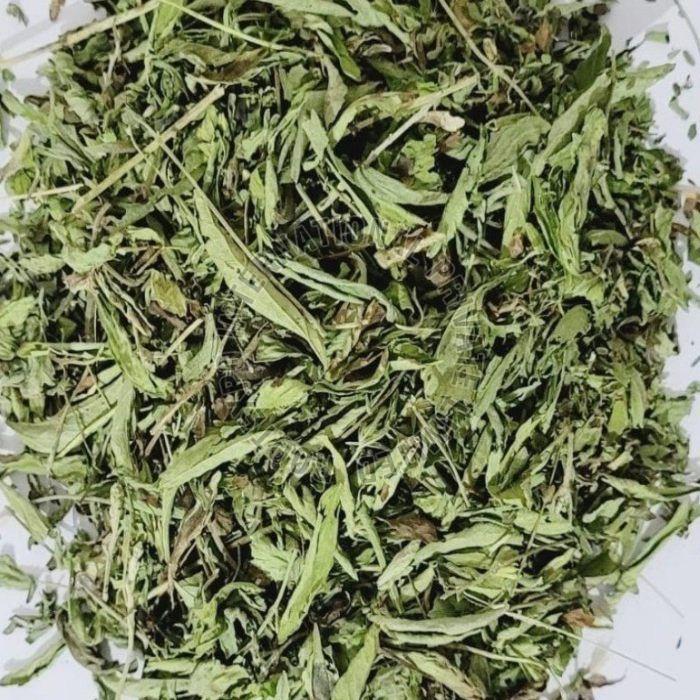 Stevia Leaves