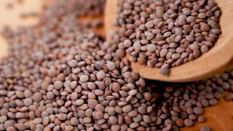 premium indian masoor red lentil