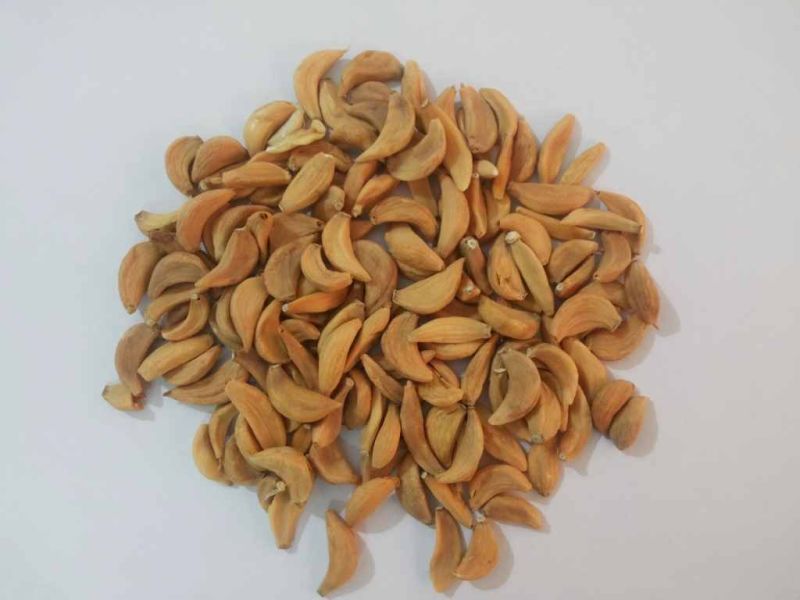 Dehydrated Vegetables & Powders