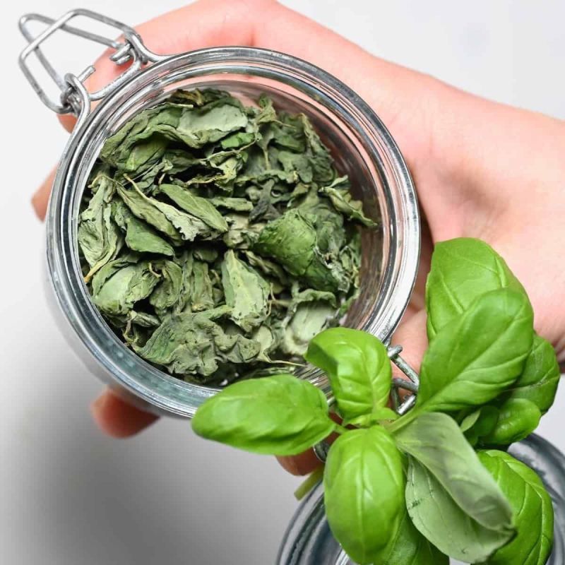 Dried Basil Leaves