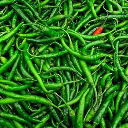 G4 Indian Green Chilli