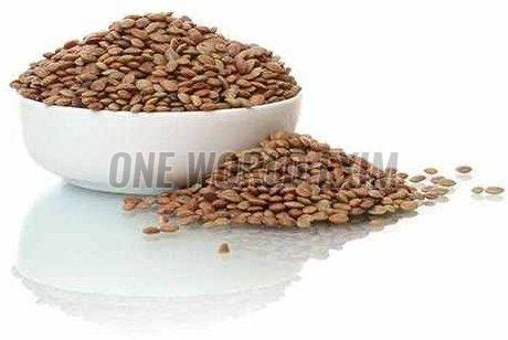 Lentils Pulses & Beans