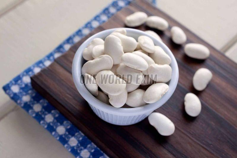 Dried Lima Beans