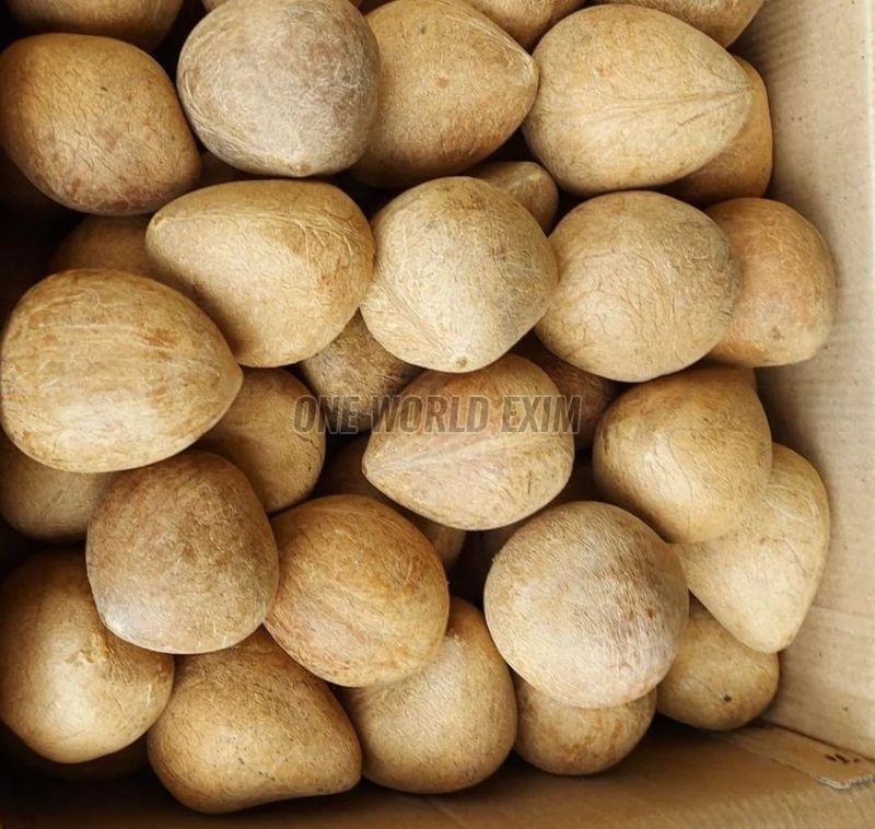 Dry Coconut Copra