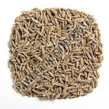 Cumin Seed