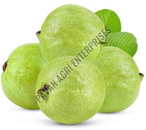 fresh guava