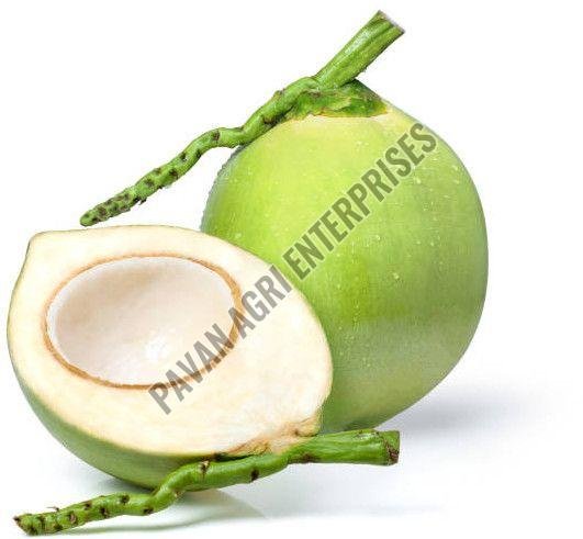 green coconut