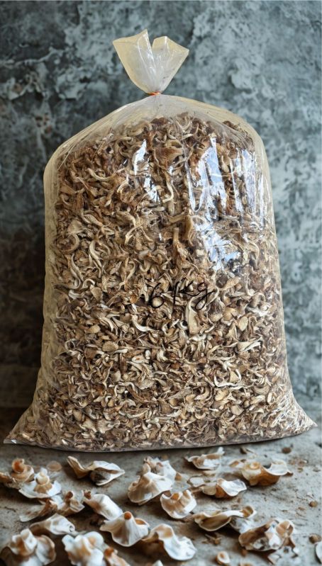 Sun Dry Oyster Mushroom