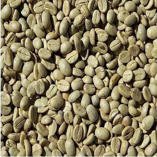 AB Grade Washed Robusta Coffee Beans