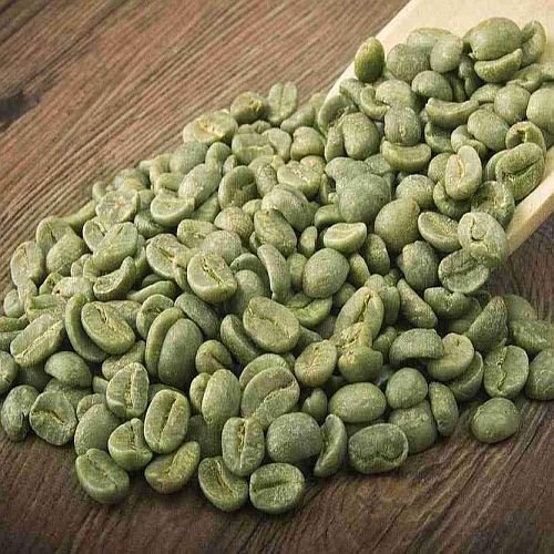 B Grade Washed Robusta Coffee Beans