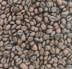C Grade Washed Robusta Roasted Coffee Beans